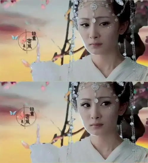 疑是仙女下凡来,回眸一笑胜星华.