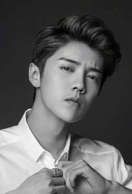 鹿晗大背头发型图片 - 搜狗图片搜索