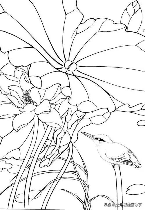 工笔画水禽黑白线稿