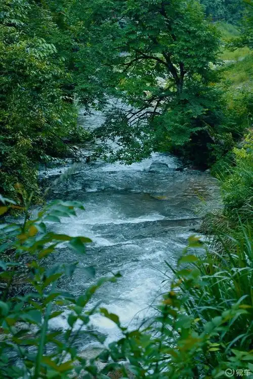 夏天里最遗憾的事今年的夏天还没有到过小河边小溪边去和三五好友一起