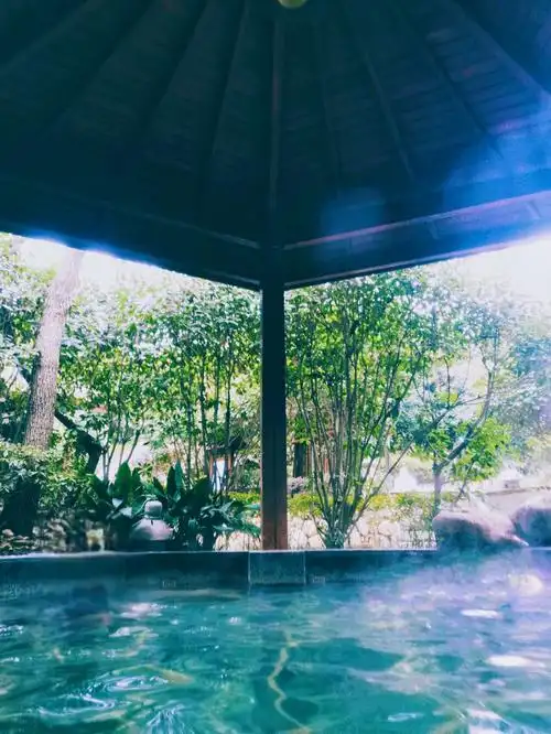 1,选择:汤山温泉有很多家,在询问家在当地的朋友后就直接定了去紫清湖