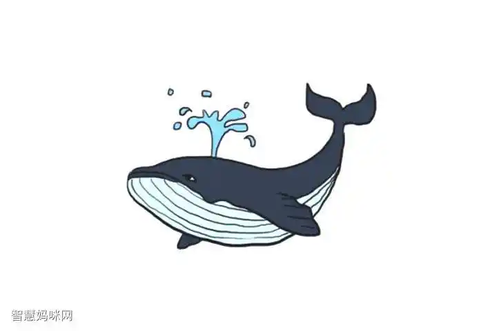 海洋生物鲸鱼简笔画画法步骤