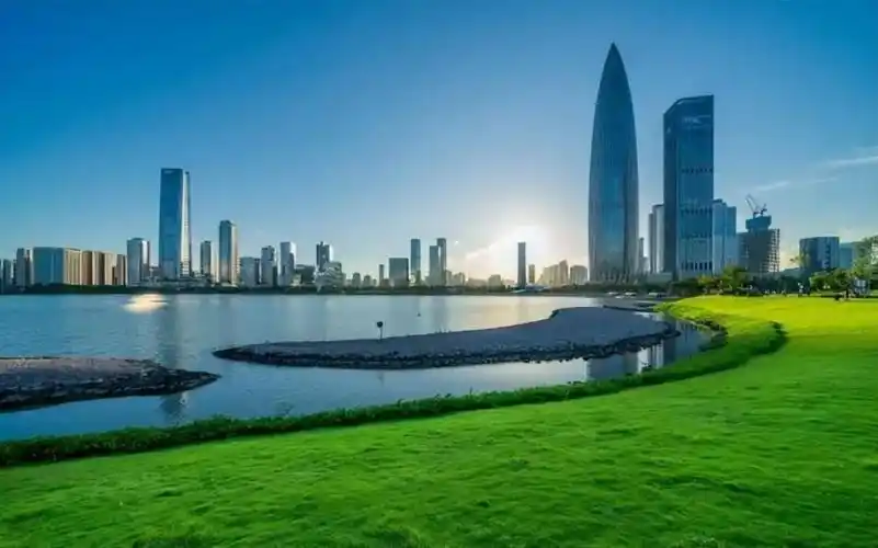 我来自格鲁吉亚,女钢琴家,贝多芬六代传人,到中国留学不想离开_腾讯新