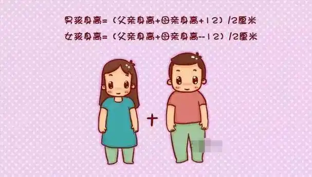 子宫|新生儿_新浪新闻