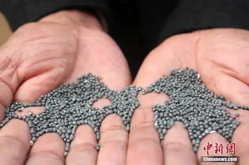 郑州一小区离靶场太近院内下铅弹雨图