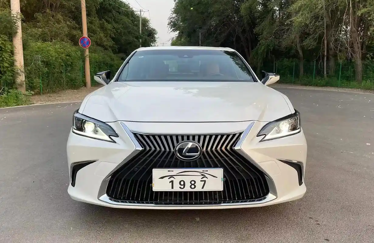 20年雷克萨斯es200,2.0l桌越版 - 抖音