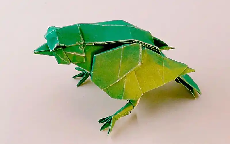 【折纸麻雀】神谷折史小鸟延时-折纸挑战_哔哩哔哩 (゜-゜)つロ 干杯