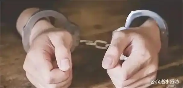 案例:雷帆为救王林,竟然甘愿出卖肉体,包养办案民警