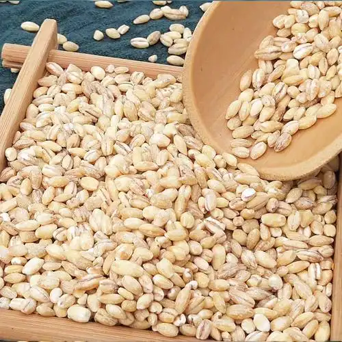 青樱红荔农家小麦仁去皮小麦米脱壳小麦仁五谷杂粮粗粮粥大麦仁米煮粥
