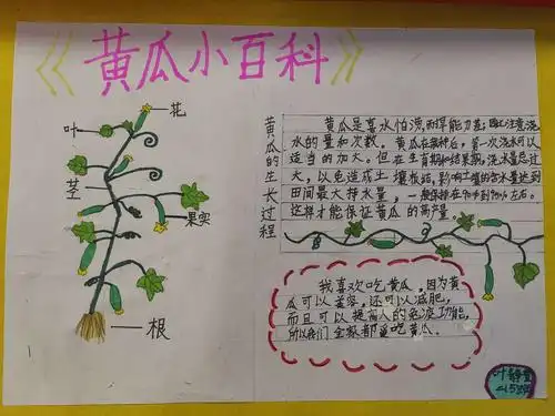 绿娃成长记之植物小百科