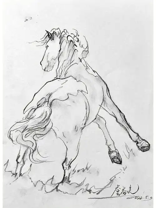 艺术  #画画  #速写写生  #速写 #马