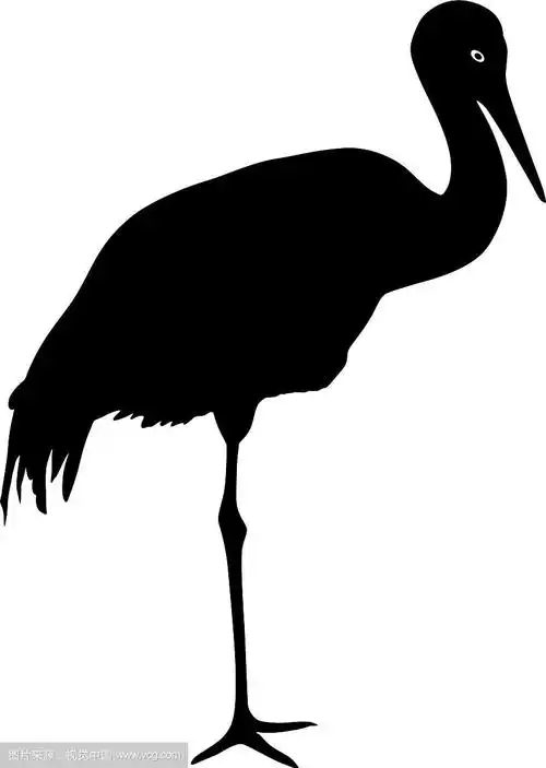 白底鹤的剪影