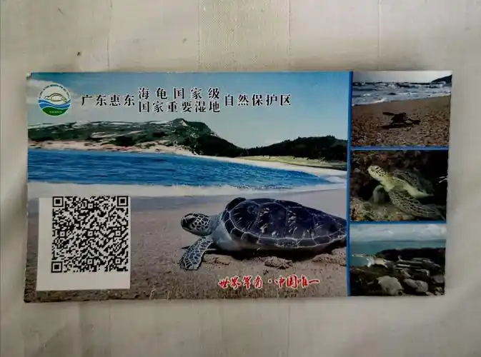 双月湾,海龟湾,平海古城半日游〈i7〉