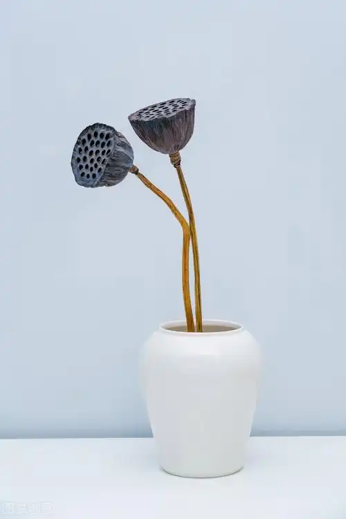 心香禅意佛系图片,唯美意境,净化心灵,静心禅语