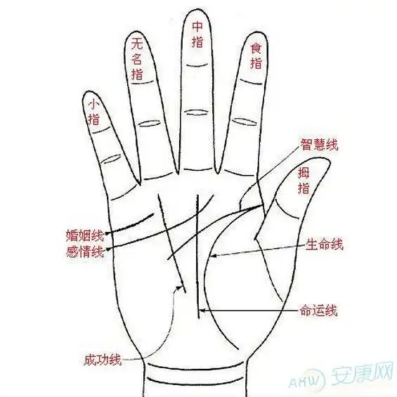 富贵命中注定,从一个人的 面相手相,就能看出他的命格是不是大富大贵