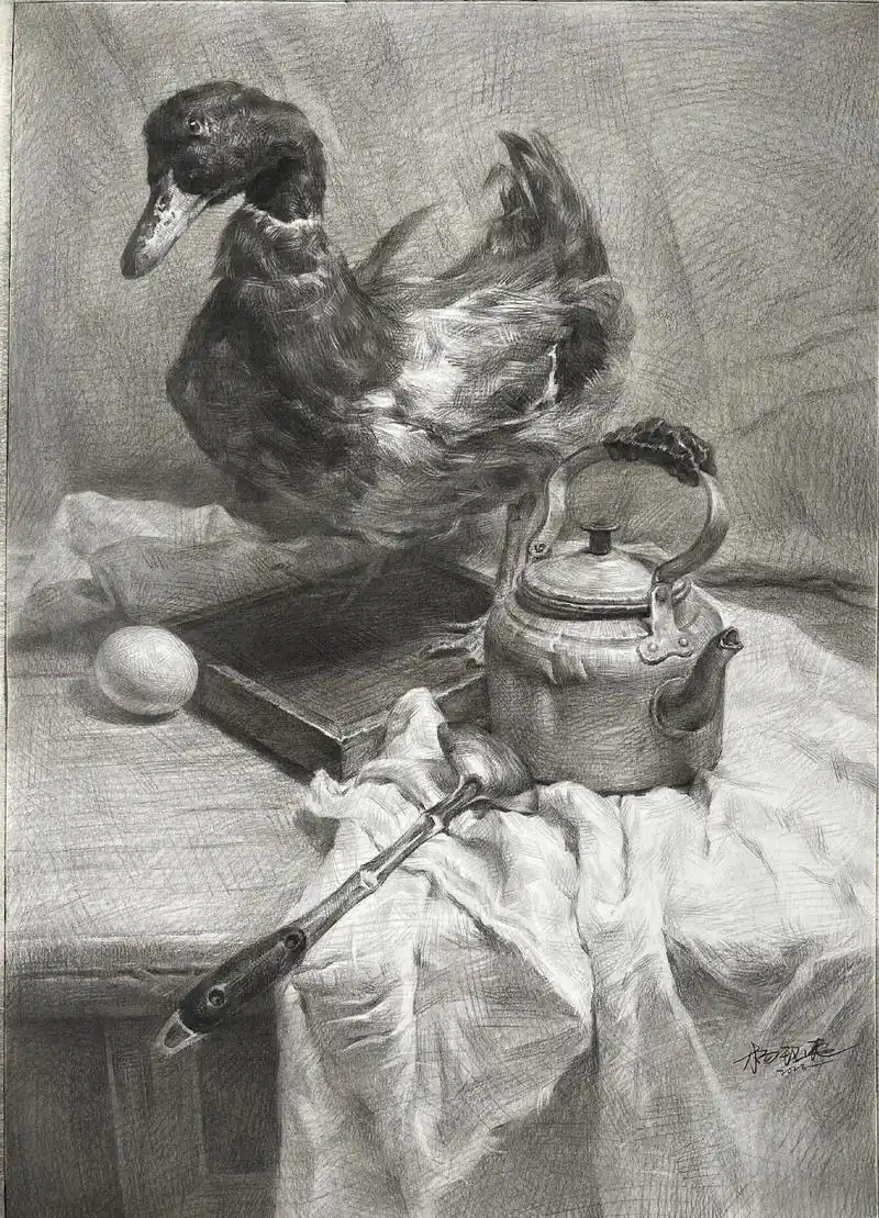 素描静物—青头鸭.抖音能不能给点流量?点赞都没几个92#美术 - 抖音