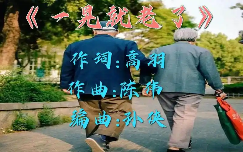 沧桑大哥演唱《一晃就老了》,唱出了人生的不易,听一次,哭一次!