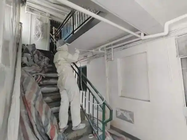 居住更安全生活更和谐松江这里的老楼道焕新颜