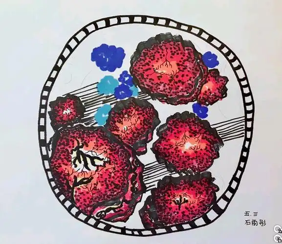 微焦之下彰显美——五年级美术第二周空中课堂《微观世界》作品集