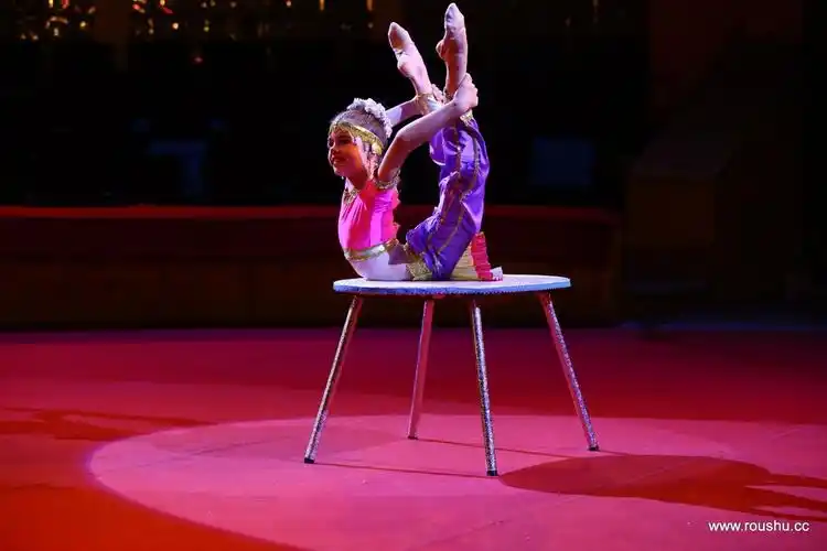 灵活的马戏团女孩柔术表演 - 杂技专区 - 柔术论坛 - powered by