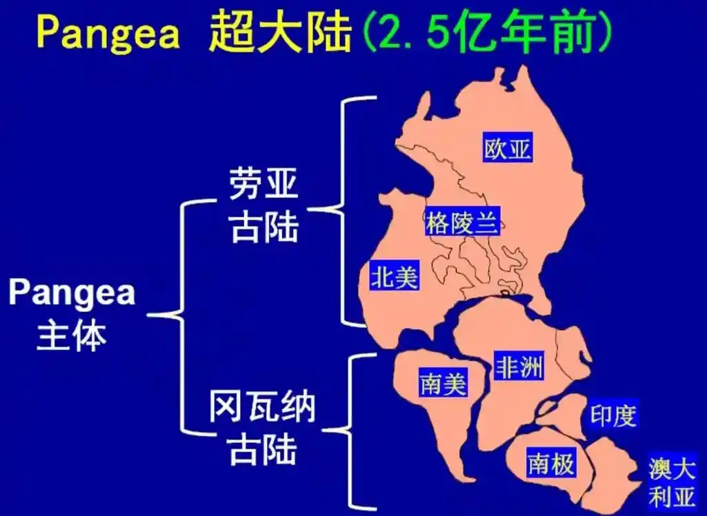 5亿年前的盘古超级大陆图.那时候地球上的各个大洲都是紧密 - 抖音