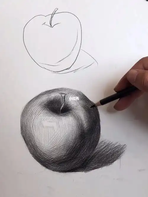 苹果在素描静物中是非常重要的物体,希望大家能够重视起来.##素描头像