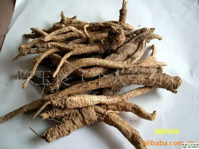 p>川明参属( a href="#" data-lemmaid="8074290">学名 /a>:chuanmin