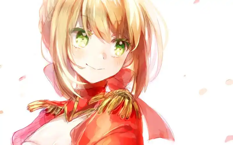 最让人怜爱的尼禄/fate尼禄_哔哩哔哩 (゜-゜)つロ 干杯~-bilibili