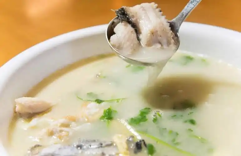 清炖鱼汤,清炖鱼汤怎么做好喝又营养