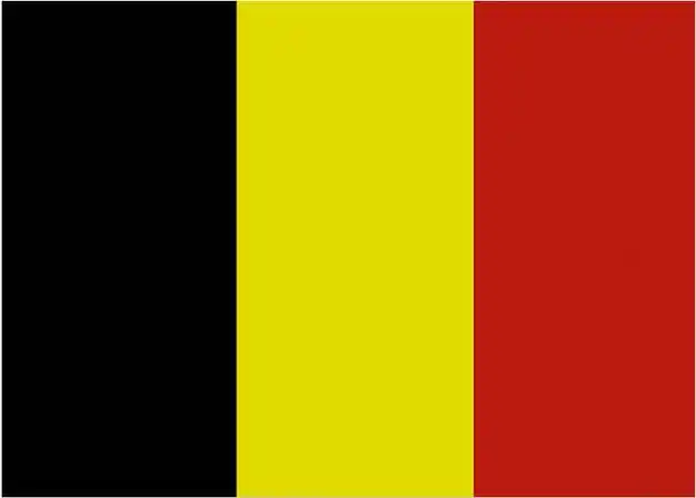 今天凌晨,他们又被另外一支红黑黄国旗的队伍送回了家.