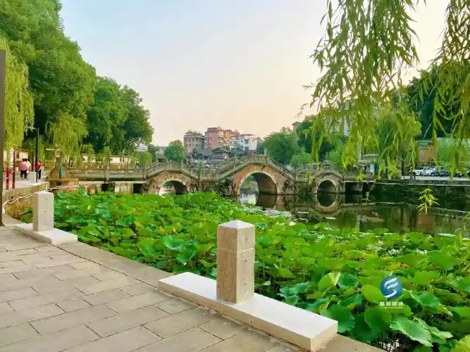 旅游景区后自富顺文庙西湖景区一直是富顺人心中的白月光富顺西湖带给