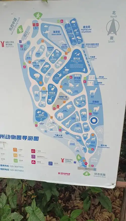 广州动物园游玩全攻略🐼🦁🦒