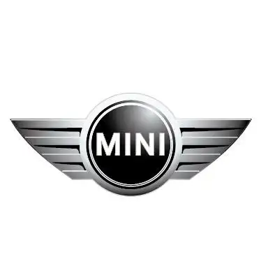 mini汽车调查问卷