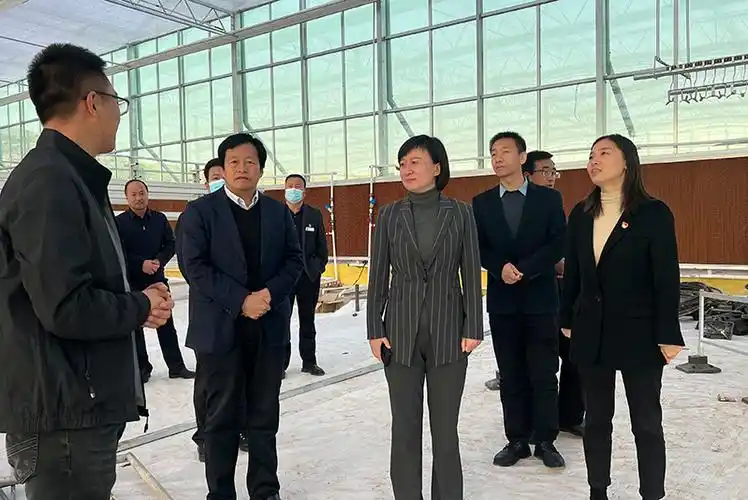 罗睿督查调研镇原县重大项目建设,产业建设等工作--信息新报