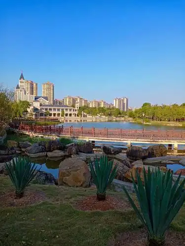 鹿江公园,夕阳好风光