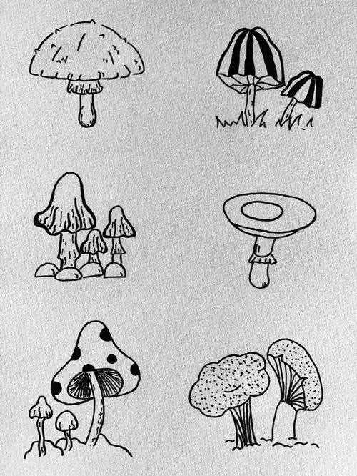 简笔画蘑菇篇