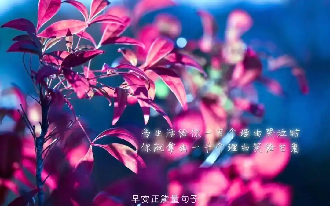 早安正能量图片和句子早安心语正能量图片