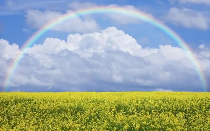 唯美梦幻的彩虹风景