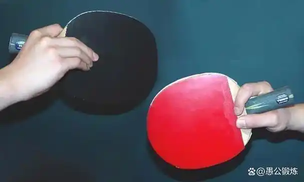 直拍握法将拍柄握在大拇指和食指之间,其余三个手指抵在球拍背面;横拍