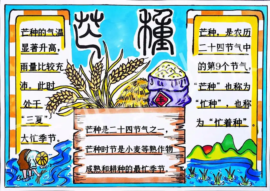 二十四节气芒种手抄报.芒种手抄报模板 芒种手抄报含文字内容  - 抖音
