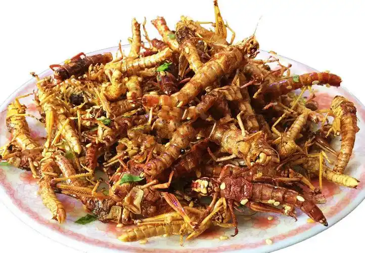 新鲜油炸蚂蚱即食去翅膀蝗虫麻辣椒盐零食小吃昆虫美食蚂蚱新鲜 孜然