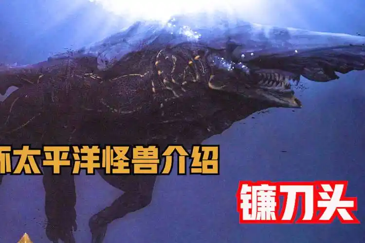 环太平洋三级怪兽镰刀头解读,海中激战重创主角机甲-影视综视频-搜狐
