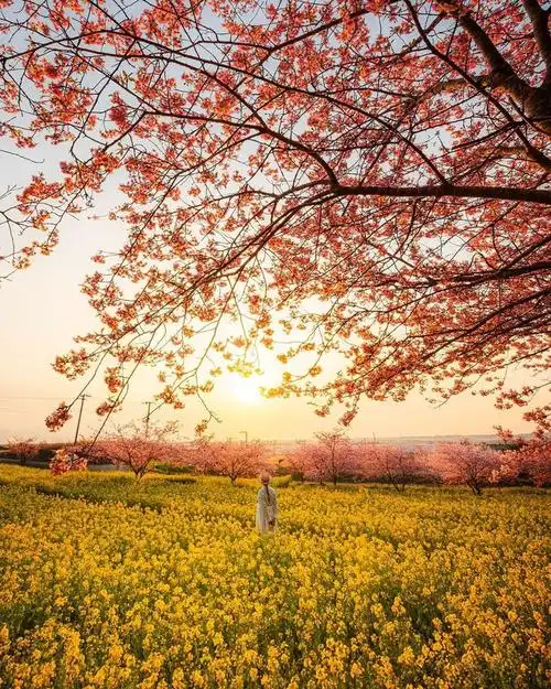 不露脸的照片,咋拍好看,春天摄影教程来啦