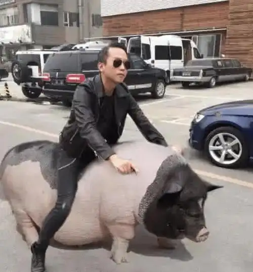 你以为p图大神只会恶搞那是因为你没充钱网友看到最后沦陷了