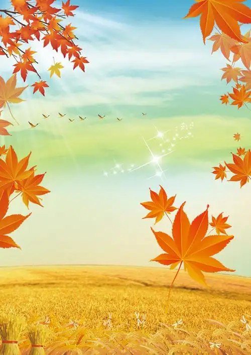 秋天麦田背景素材