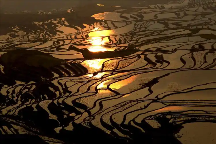 黄喆春 摄红河哈尼梯田先后荣获了联合国教科文组织世界文化遗产(2013