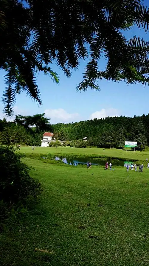 美丽的仙女山大草原风景
