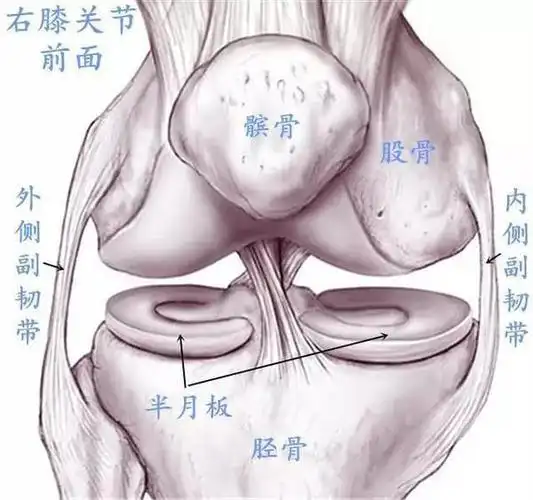 膝盖半月板损伤要怎么治疗?