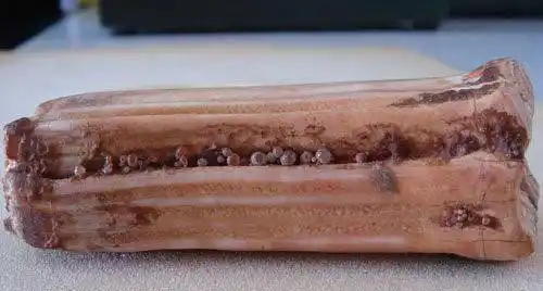 火葬场员工:其实很常见,已经申请了专利_寺庙_时候_什么