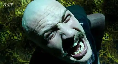 疯狂什么是发疯什么是发狂